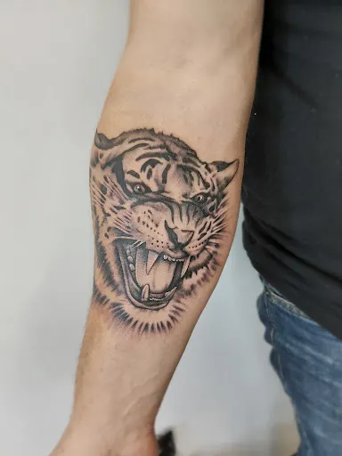 Gaja Tattoo
